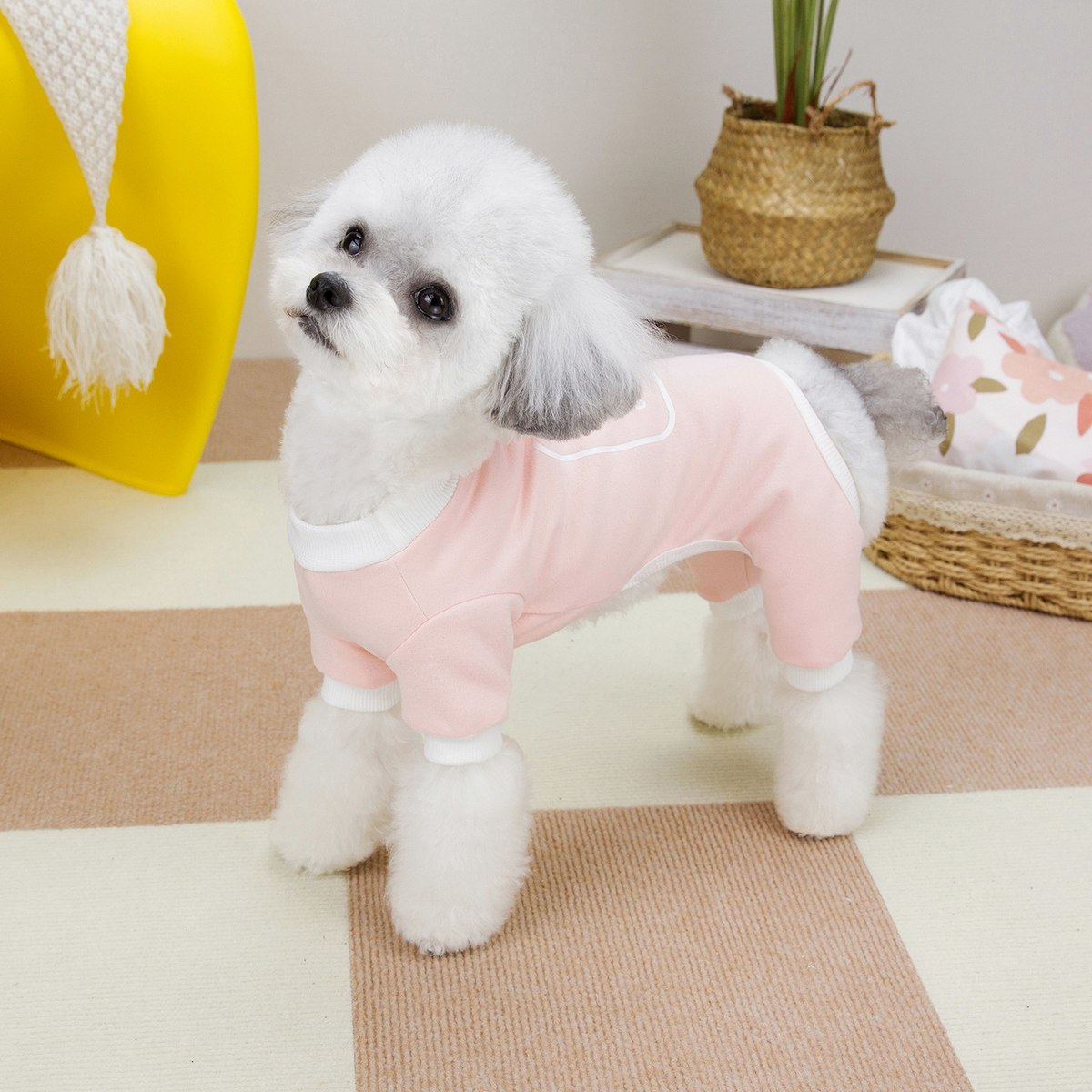 BreezyBuddy Pet Suit – Lightweight Dog Outfit_CWMM6992