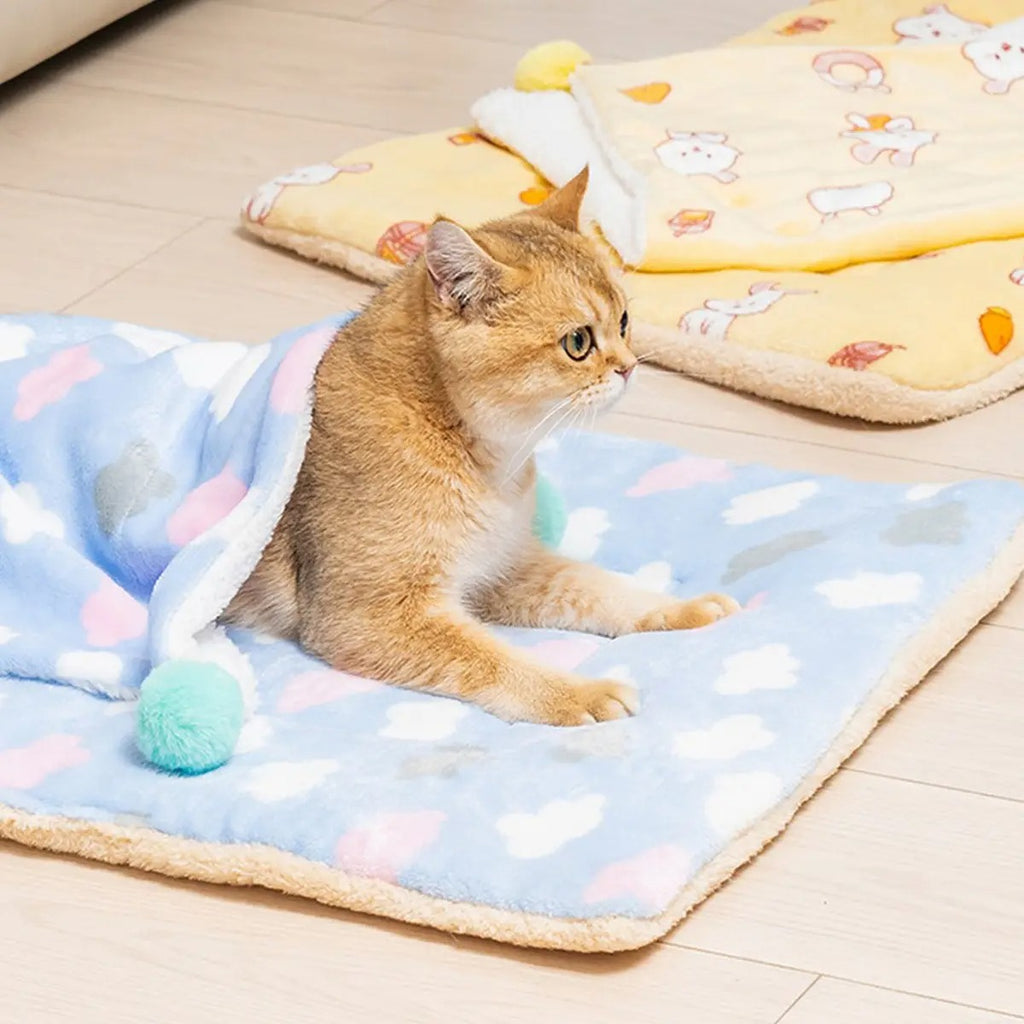 Flannel Pet Blanket for Winter Cozy Comfort_CWMM6268