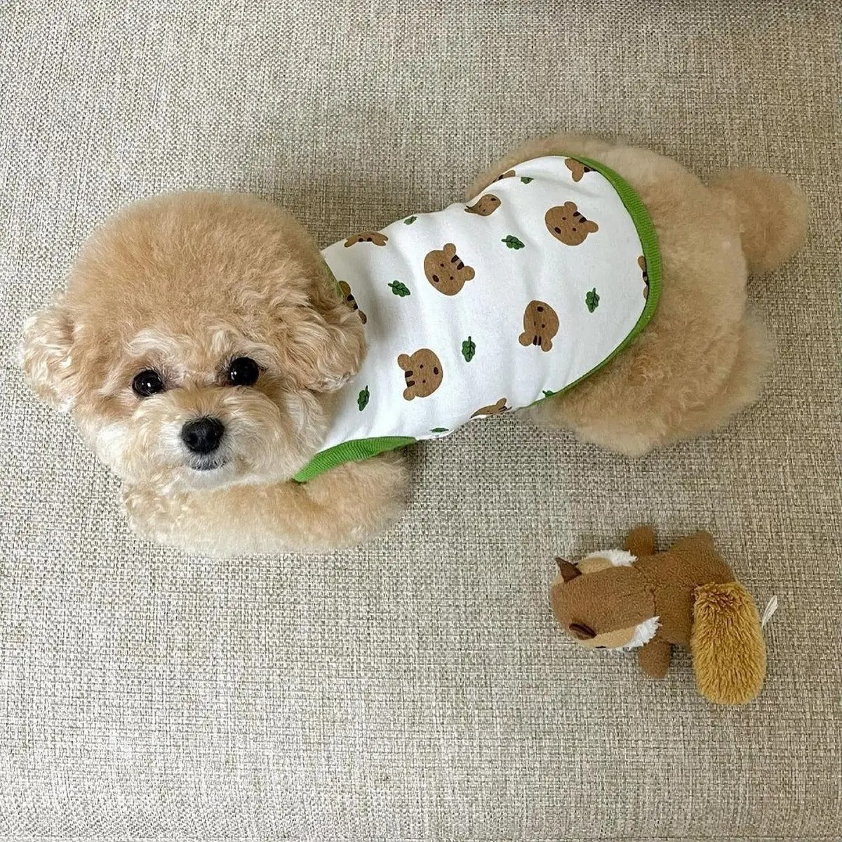 Autumn Cozy Dog Vest for Small Breeds_CWMM5847
