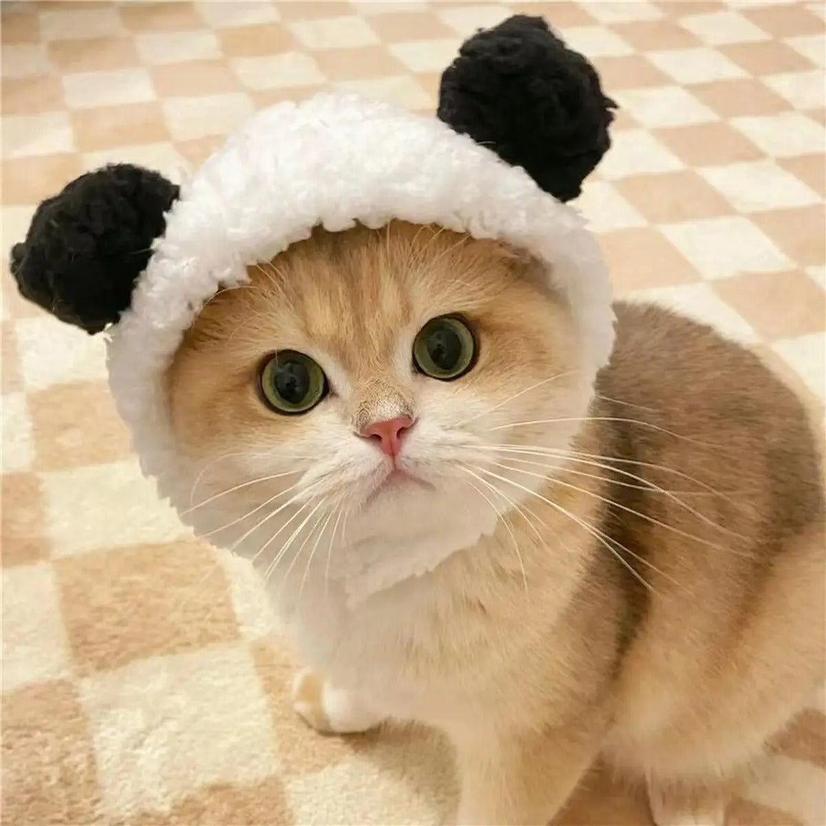Cute Panda Bear Hat for Cats and Small Dogs_CWAH3695