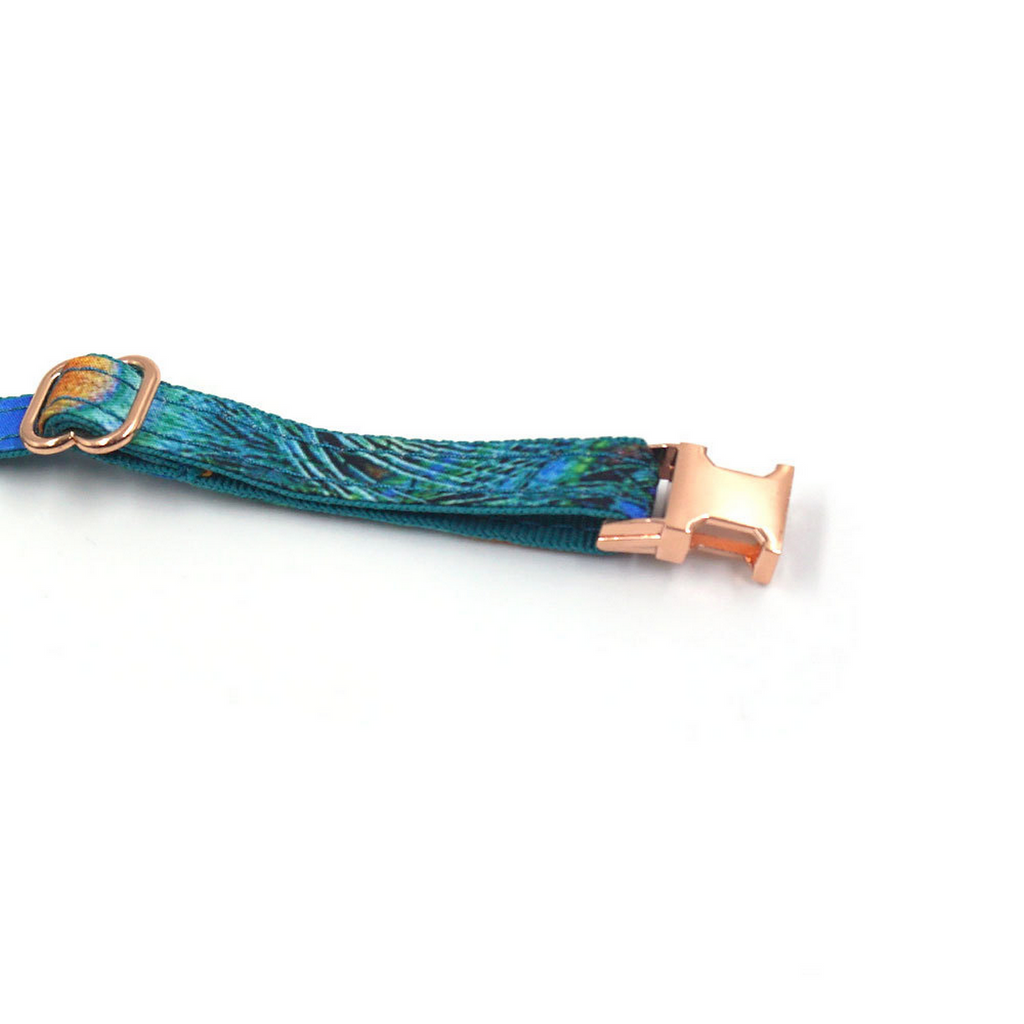 Peacock Feather Cat & Dog Collar with Bell_CWMM7095