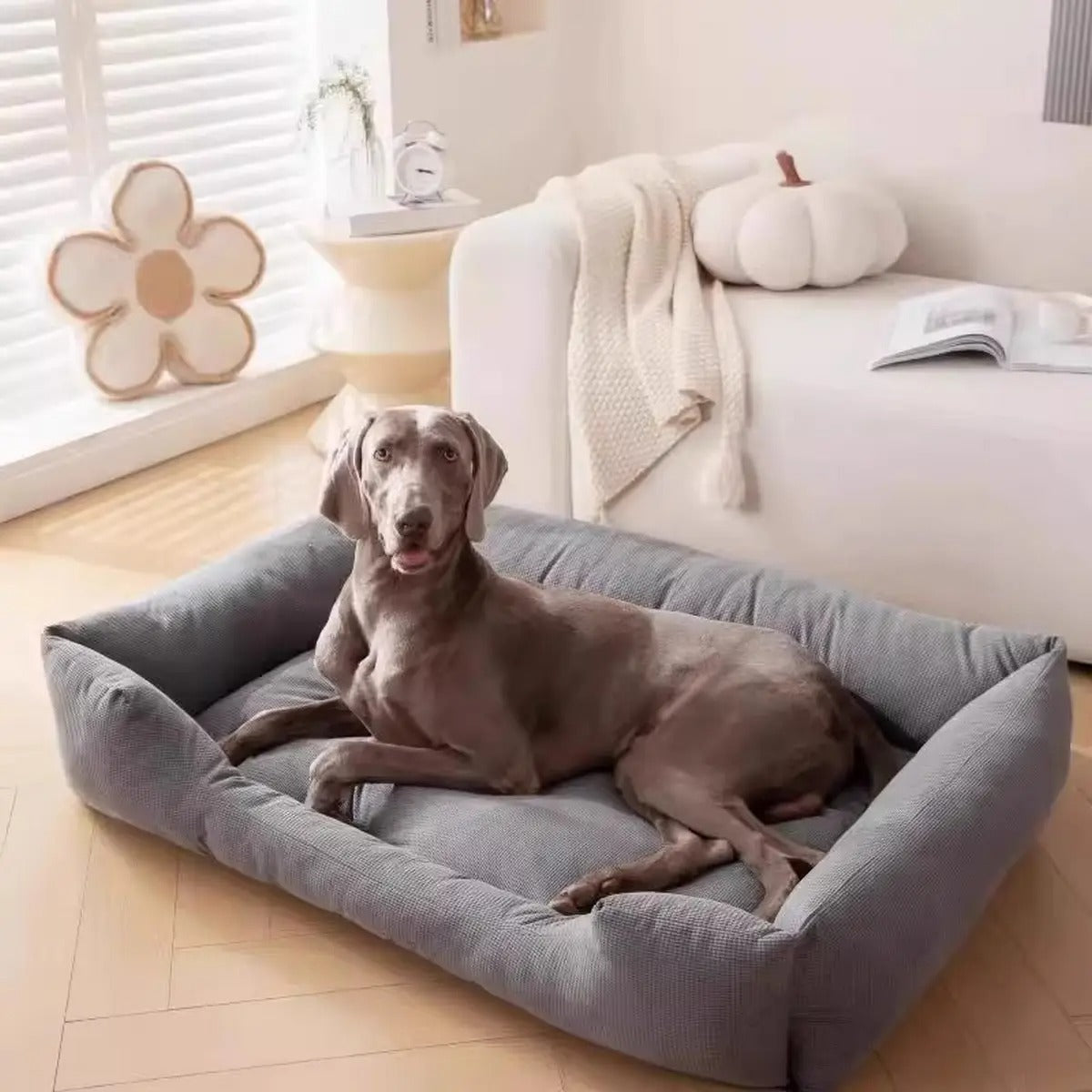 Durable Scratch-Resistant All-Season Pet Bed_CWMM7649