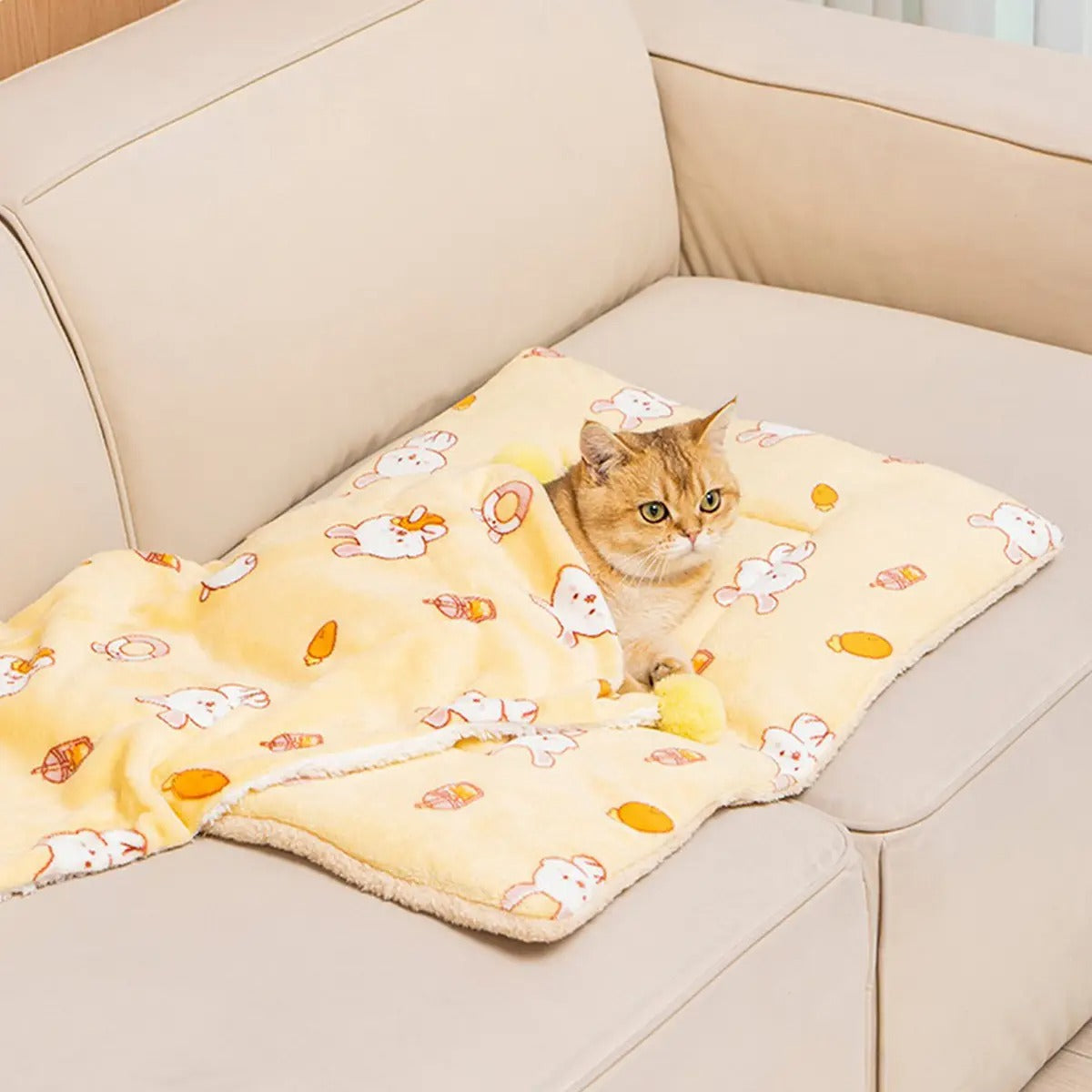 Flannel Pet Blanket for Winter Cozy Comfort_CWMM6268