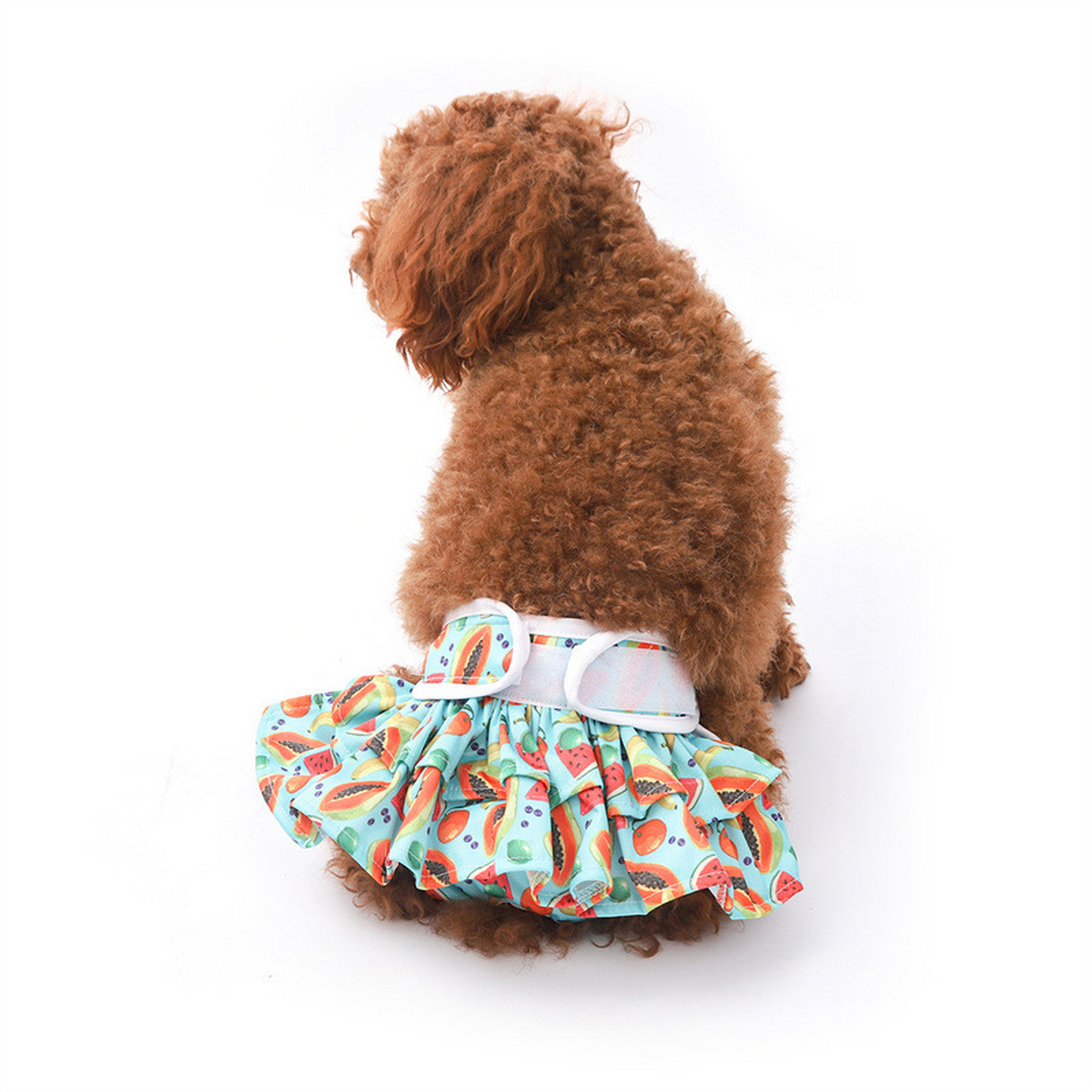 Female Dog Diaper – Washable Period Underwear_CWMM7294
