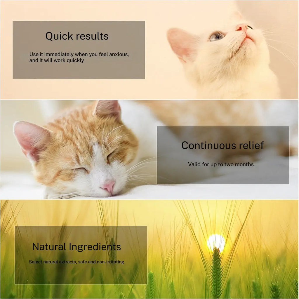 Pet Calming Collar Stress Relief for Cats Dogs_CWMM6492
