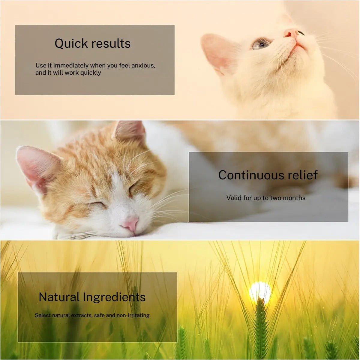 Pet Calming Collar Stress Relief for Cats Dogs_CWMM6492