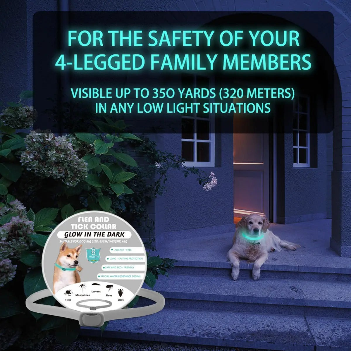 Glow Pet Flea and Tick Collar for Dogs and Cats_CWMM6500