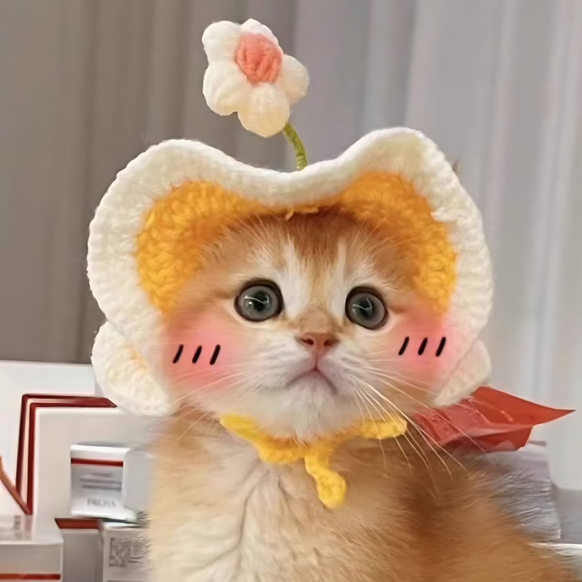 Crochet Flower Sprout Hat for Cats & Dogs_CWAH3694