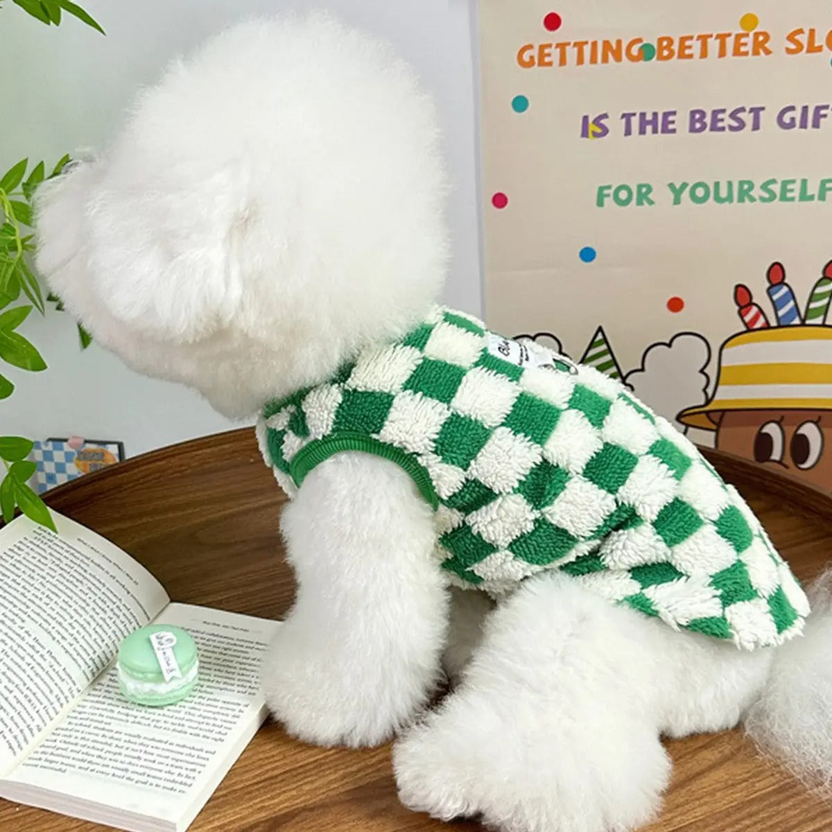 Autumn Plush Warm Pet Vest for Small Dogs & Cats_CWMM5859