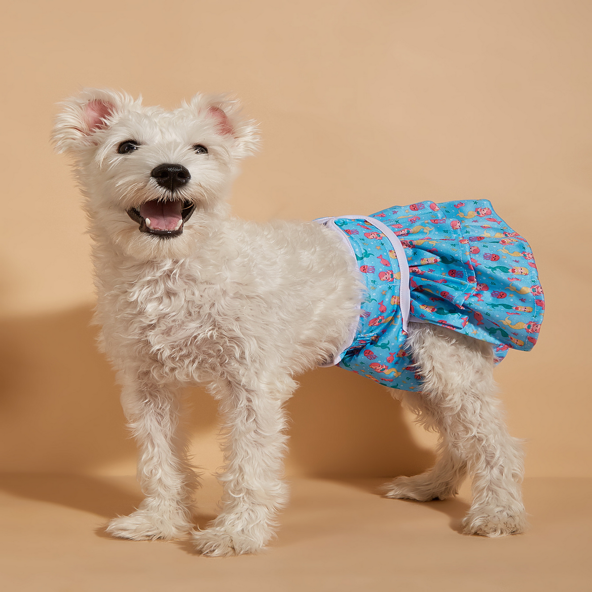 Female Dog Diaper – Washable Period Underwear_CWMM7294