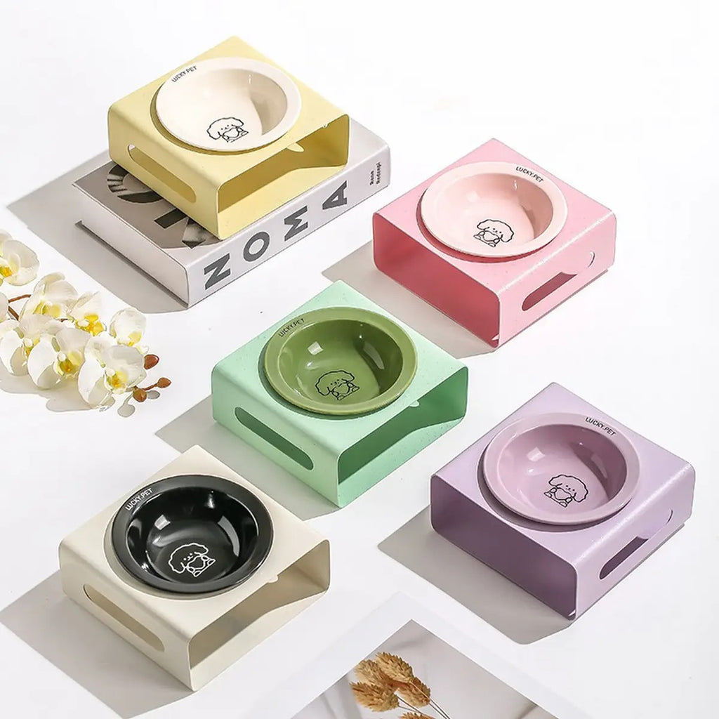Non-Slip Elevated Cat & Dog Feeder Bowl_CWMM5943