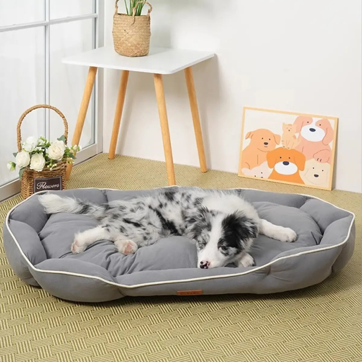 Durable Tech Fabric Pet Bed – Oval Shape_CWMM7654