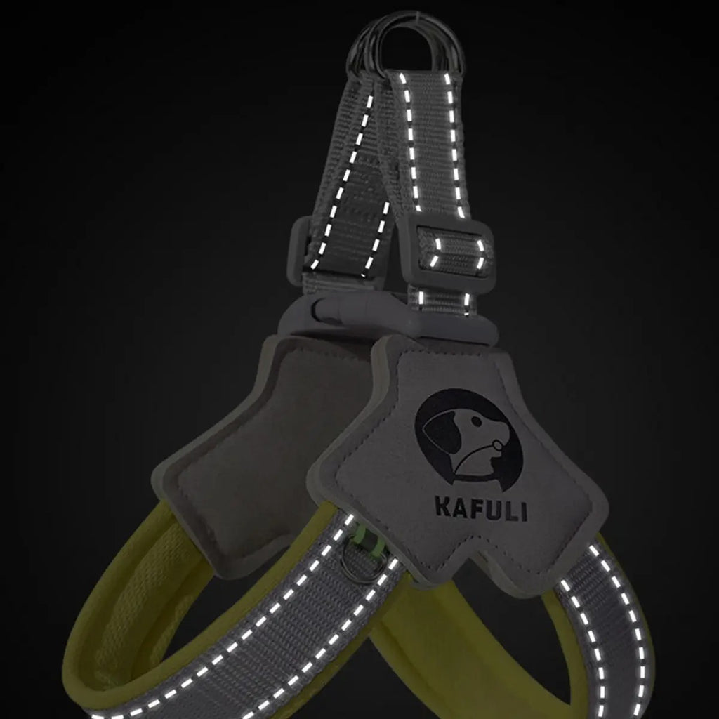 Corgi No-Pull Y Harness Adjustable Dog Vest Leash_CWMM7302