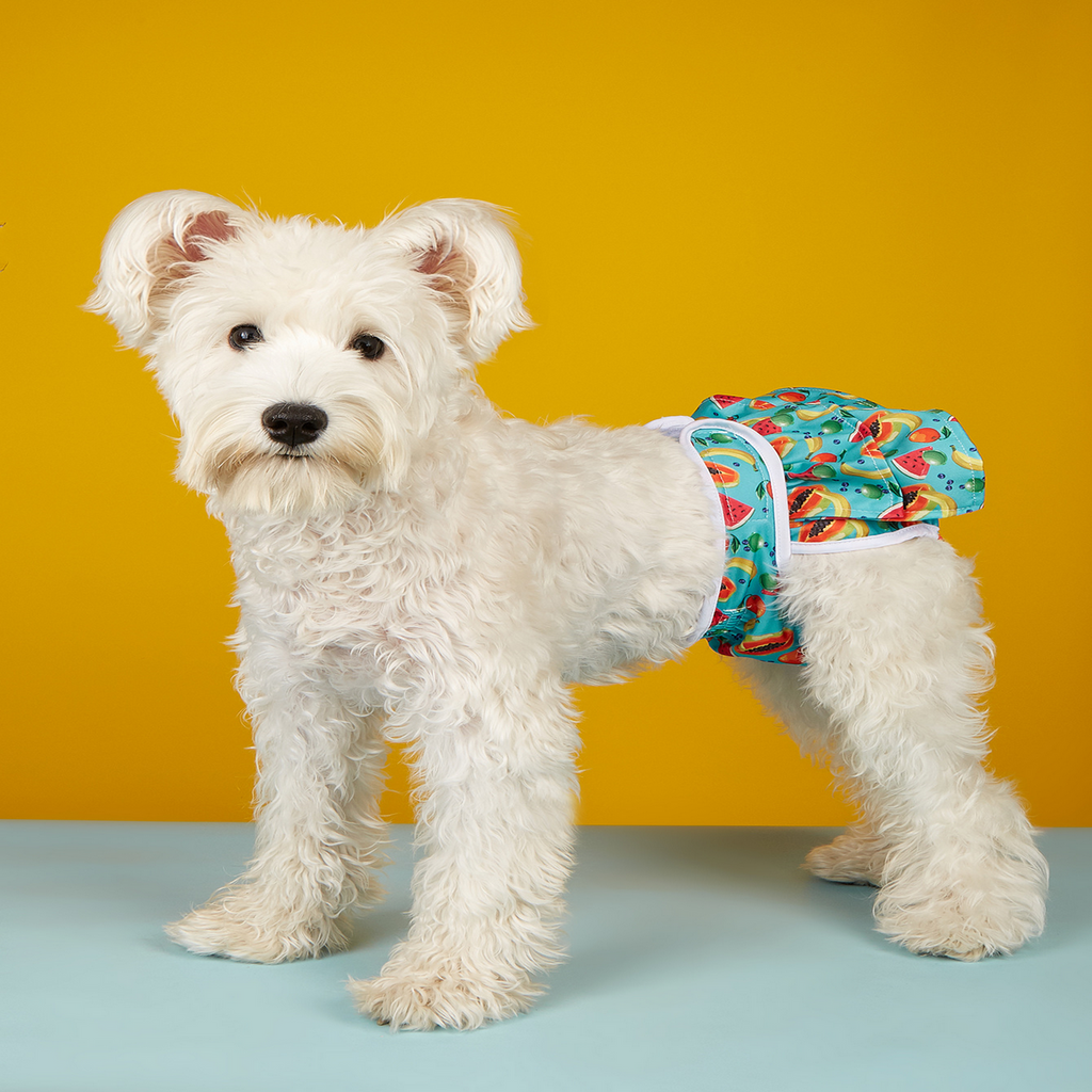 Female Dog Diaper – Washable Period Underwear_CWMM7294