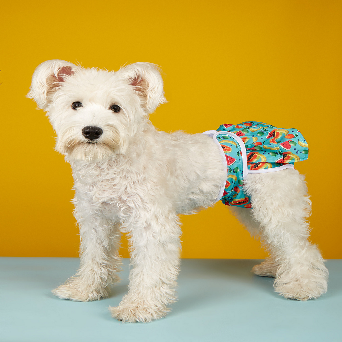 Female Dog Diaper – Washable Period Underwear_CWMM7294