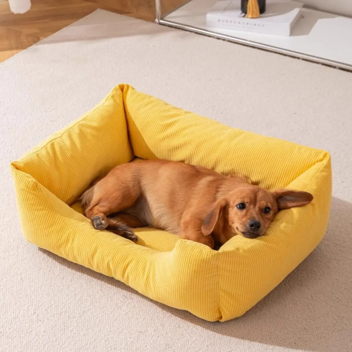 Durable Scratch-Resistant All-Season Pet Bed_CWMM7649