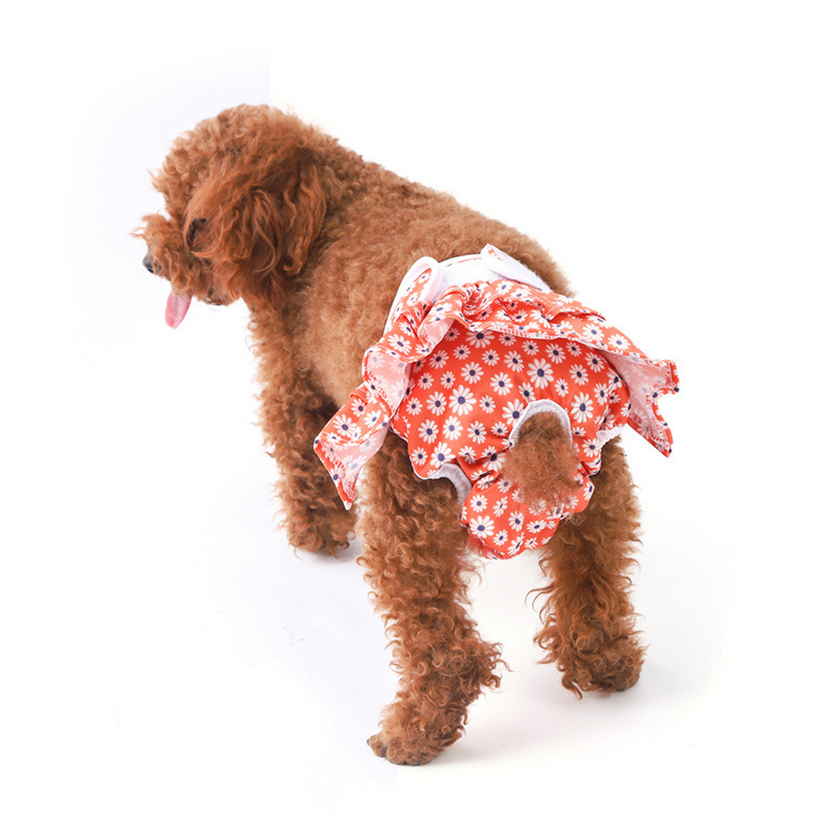 Female Dog Diaper – Washable Period Underwear_CWMM7294