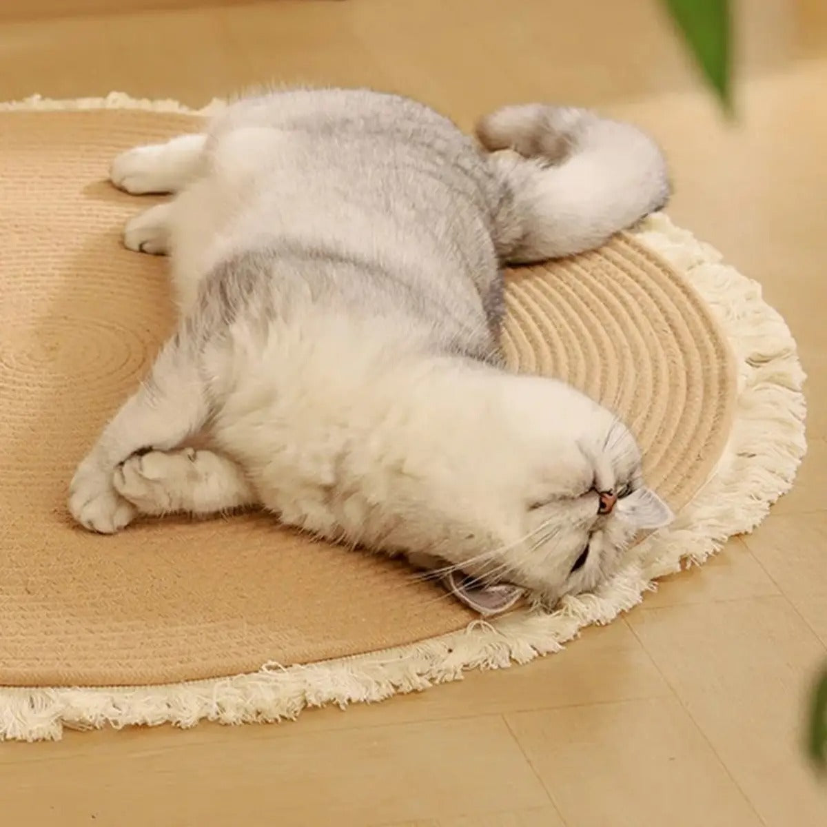Anti-Slip Cat Mat with Claw Sharpening Surface_CWMM6562