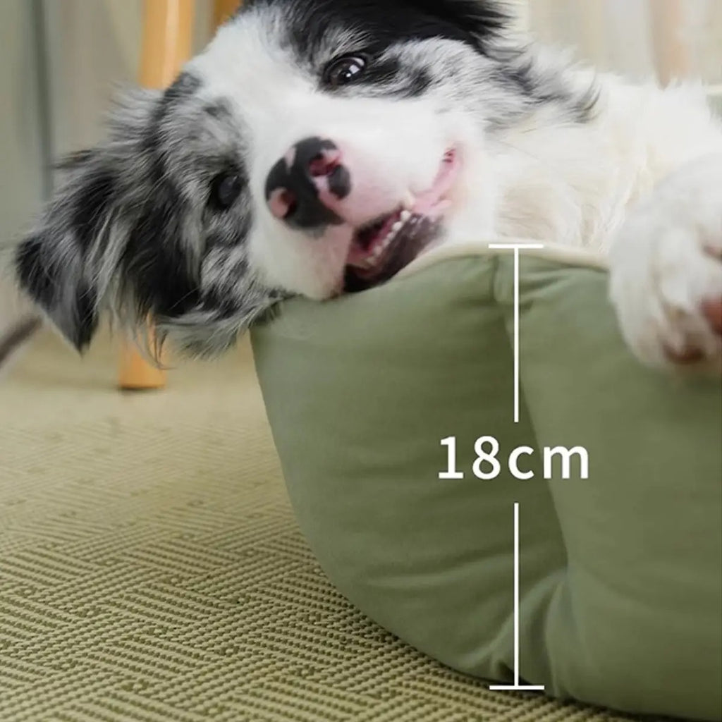 Durable Tech Fabric Pet Bed – Oval Shape_CWMM7654