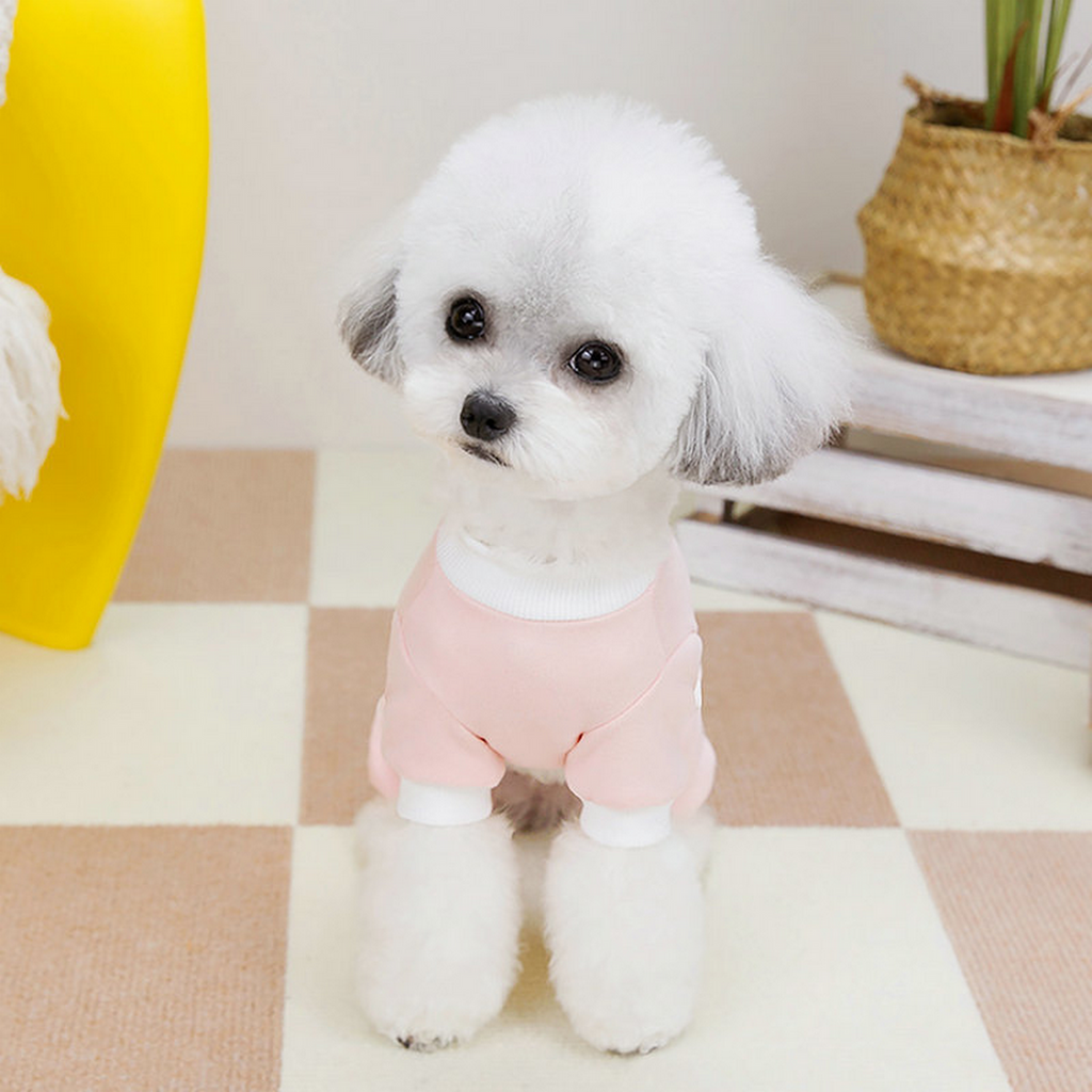 BreezyBuddy Pet Suit – Lightweight Dog Outfit_CWMM6992