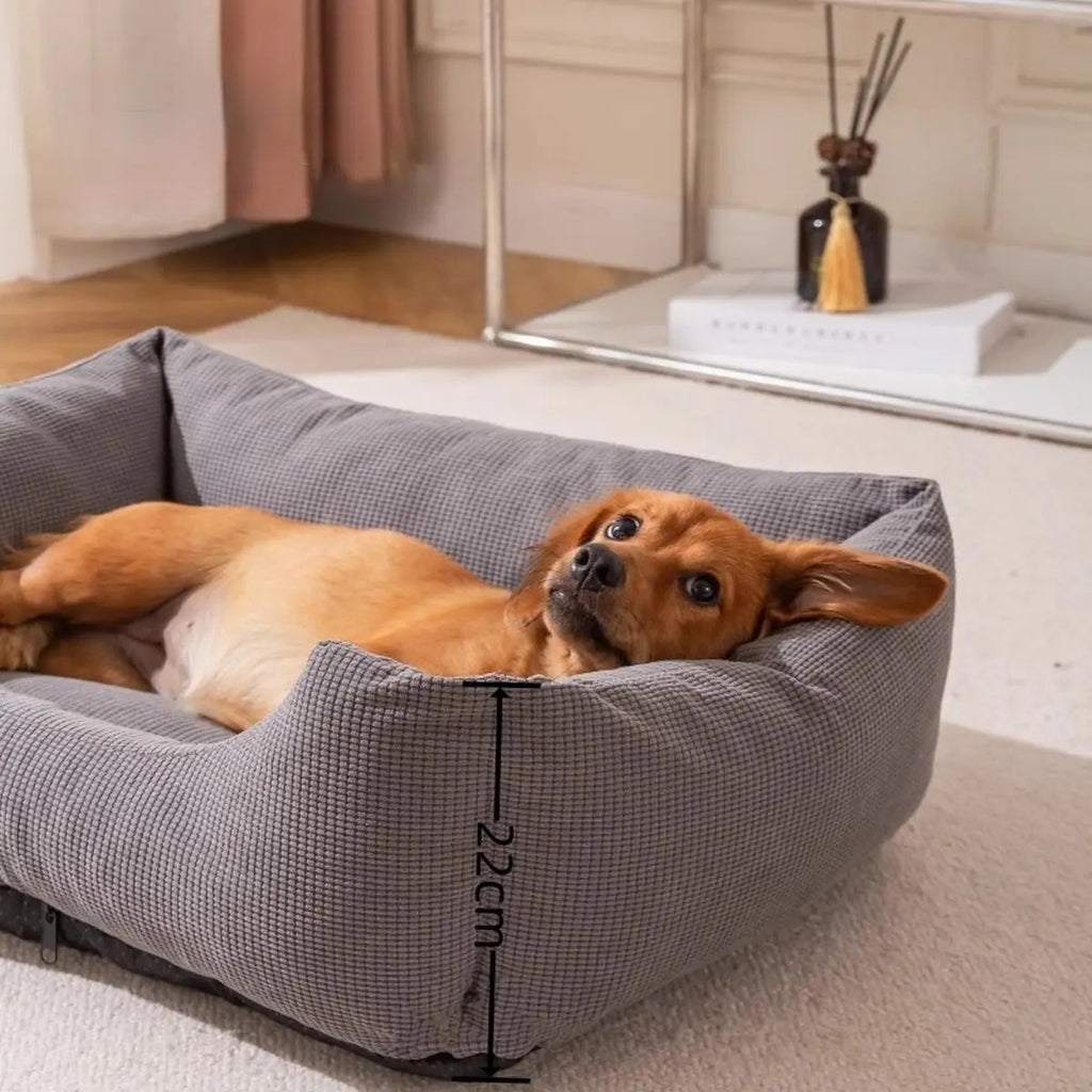 Durable Scratch-Resistant All-Season Pet Bed_CWMM7649