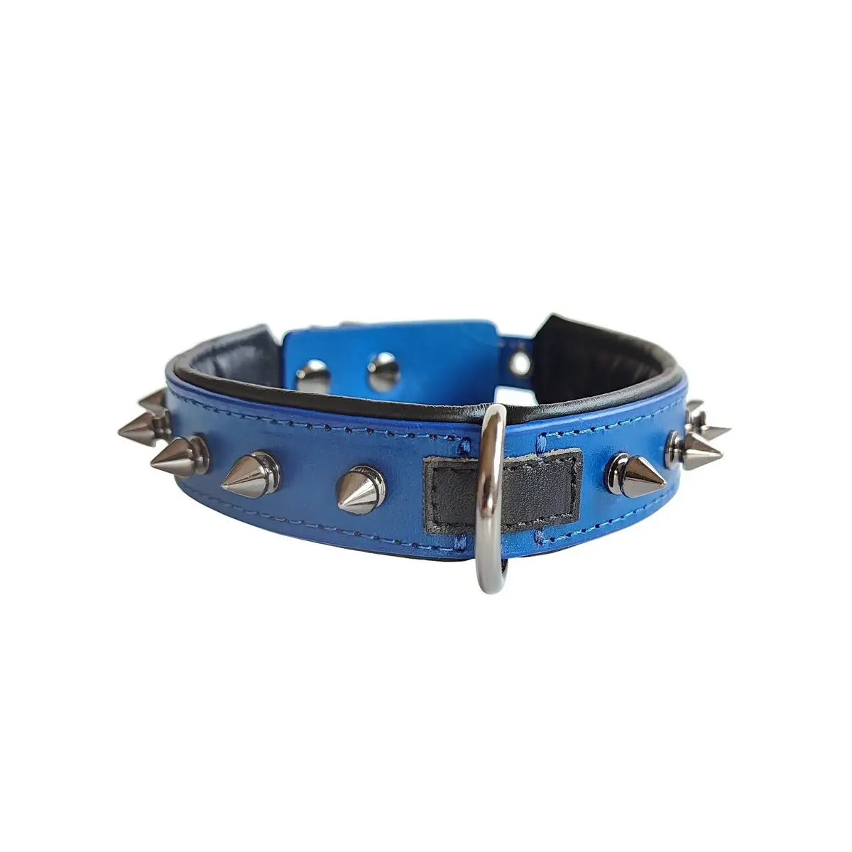 Leather Dog Collar with Studs, Padded_CWMM7688
