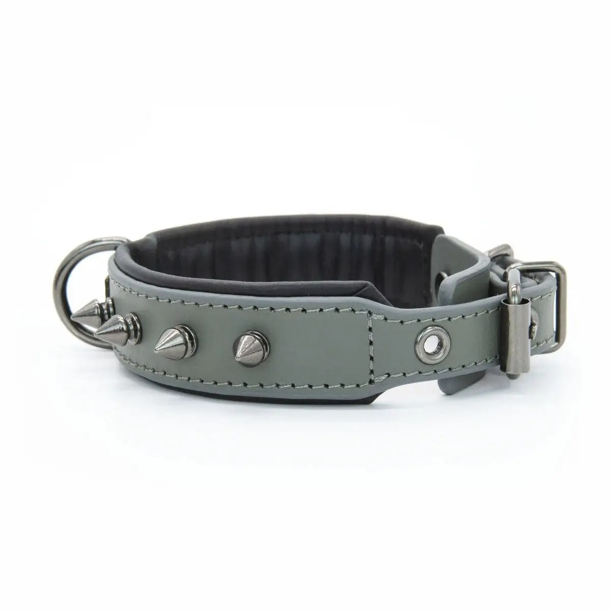 Leather Dog Collar with Studs, Padded_CWMM7688