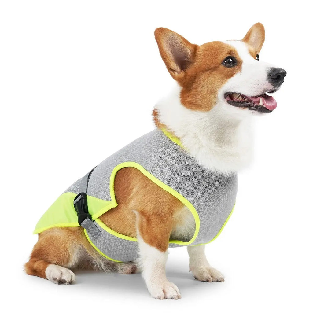 Cooling Summer Vest for Dogs – Breathable_CWMM7459