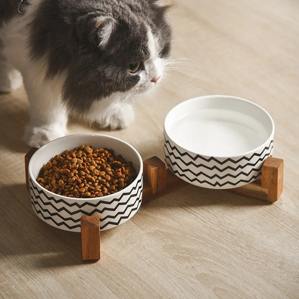 Hepburn Style Elevated Ceramic Pet Bowl_CWMM5949