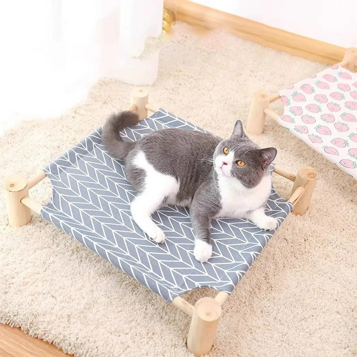 Elevated Pet Bed for Summer and All Seasons_CWMM6288