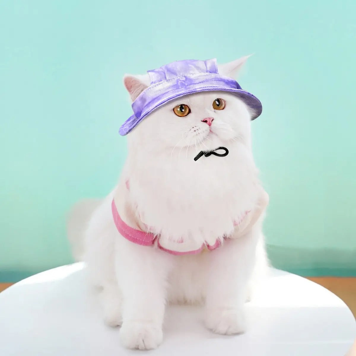 Adjustable Pet Sun Hat with Ear Holes_CWAH3707