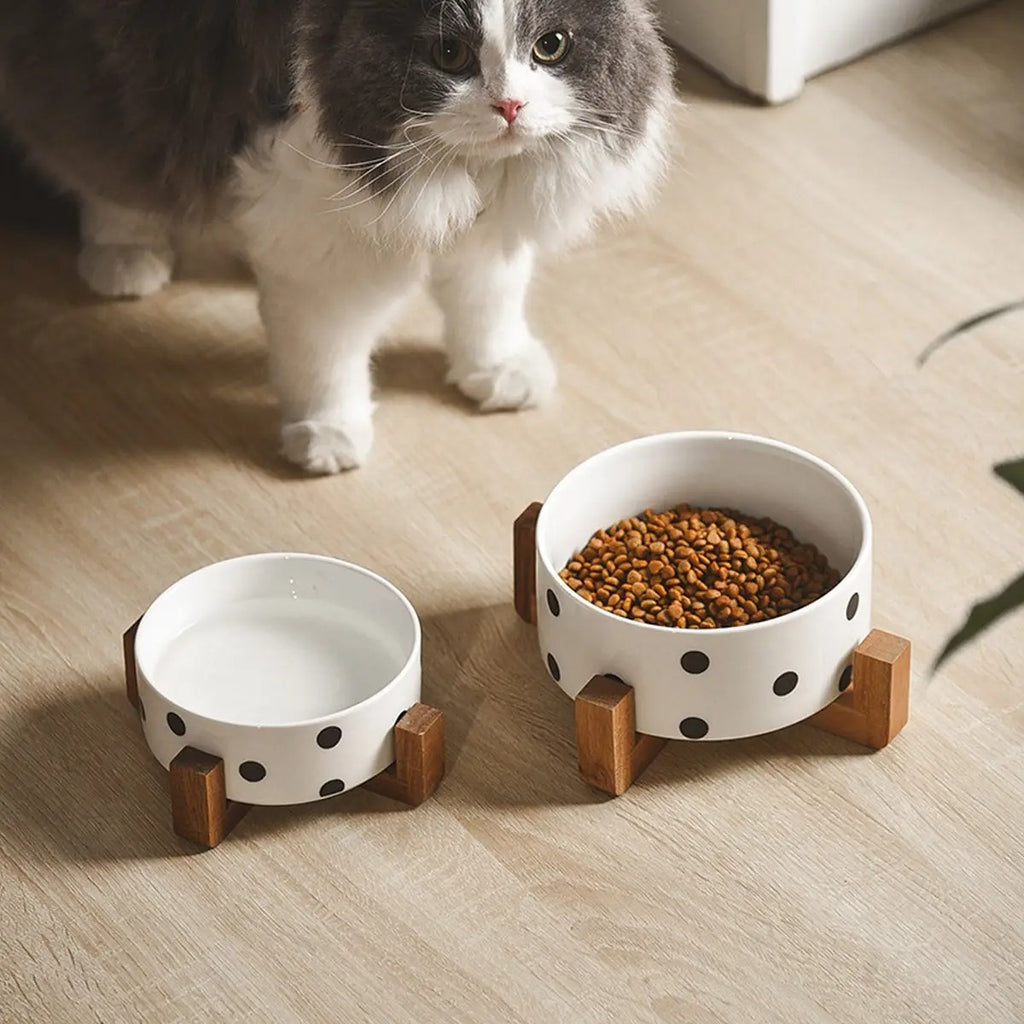 Hepburn Style Elevated Ceramic Pet Bowl_CWMM5949