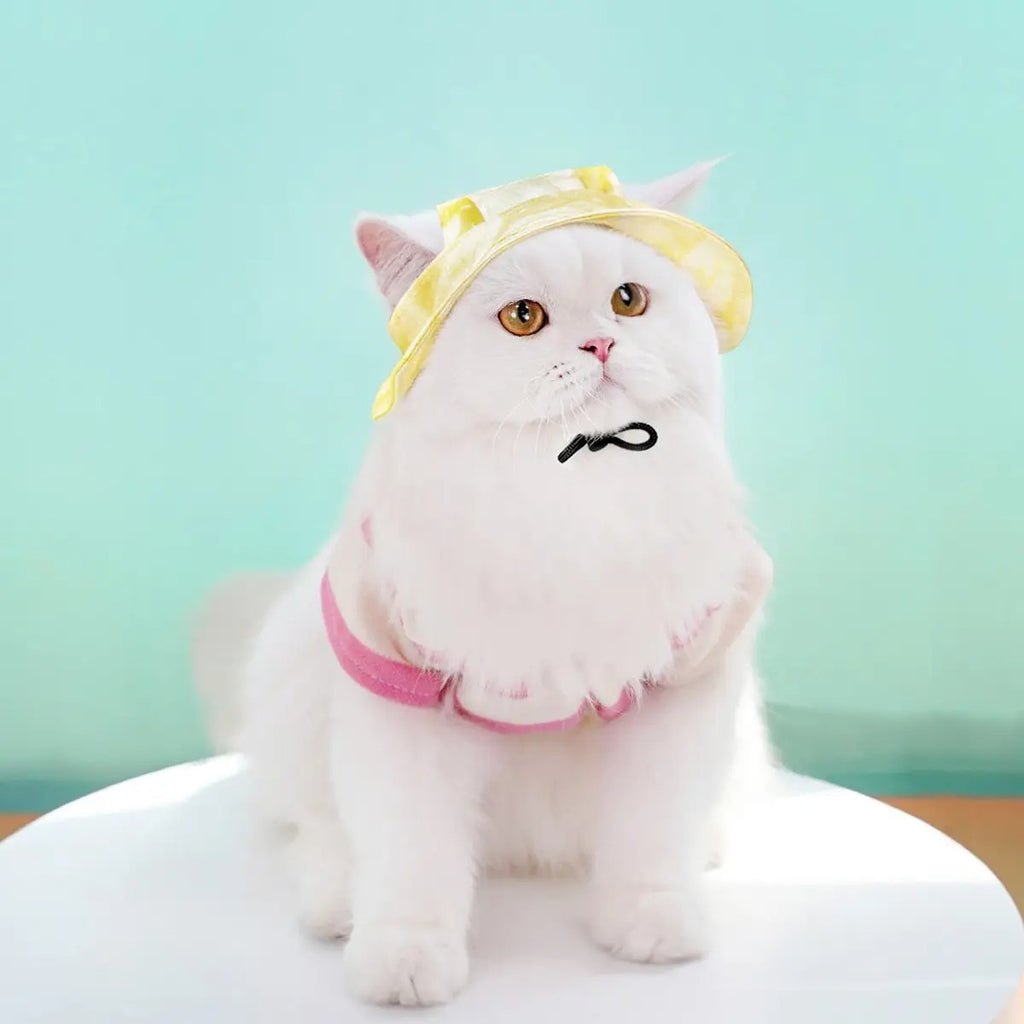 Adjustable Pet Sun Hat with Ear Holes_CWAH3707