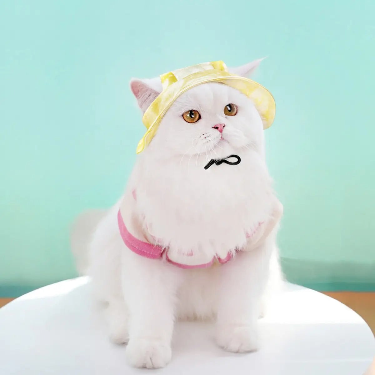 Adjustable Pet Sun Hat with Ear Holes_CWAH3707