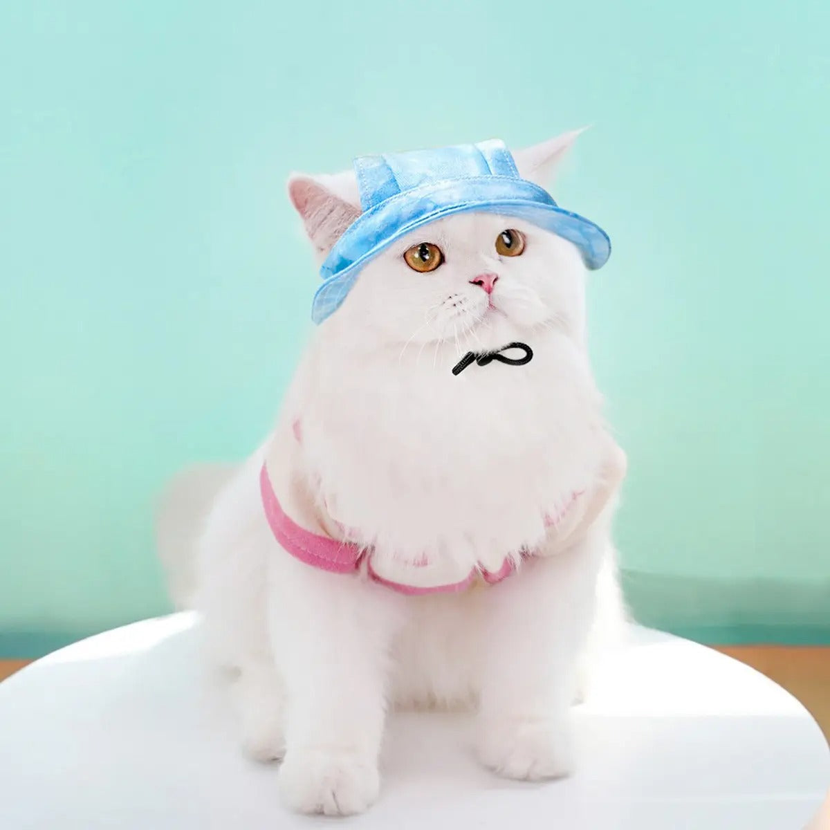 Adjustable Pet Sun Hat with Ear Holes_CWAH3707