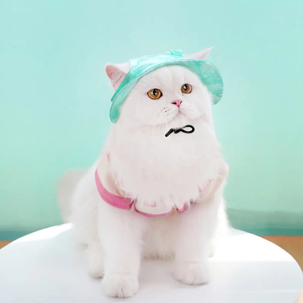 Adjustable Pet Sun Hat with Ear Holes_CWAH3707