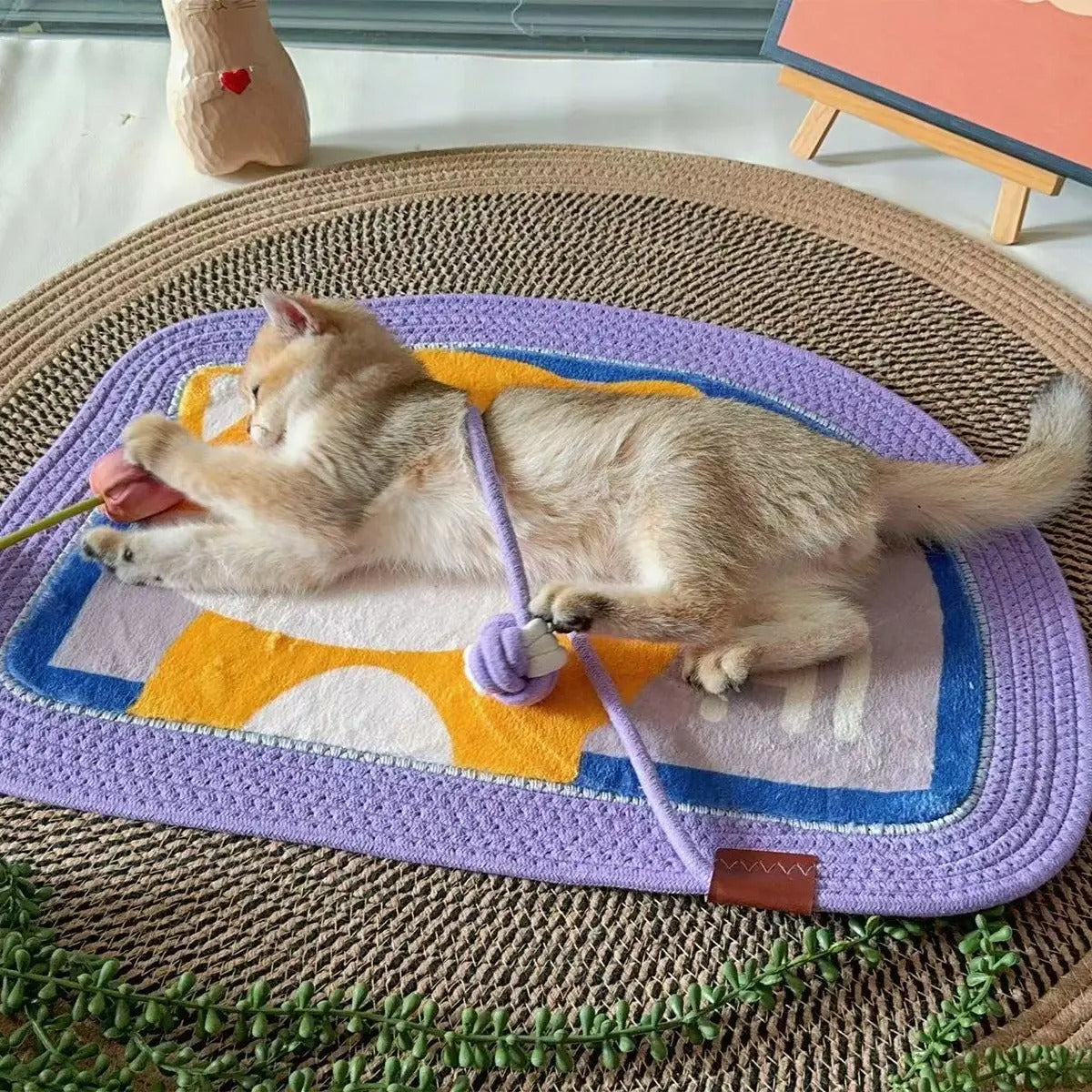 Handwoven Pet Bed Mat Anti-Slip & Scratch-Resist_CWMM6564