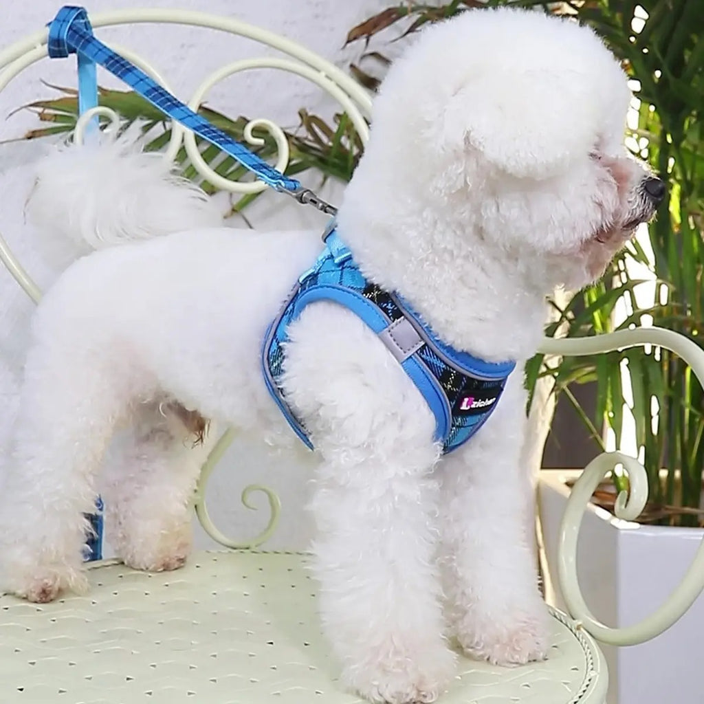 Breathable Dog Vest with Leash - Reflective_CWMM5960