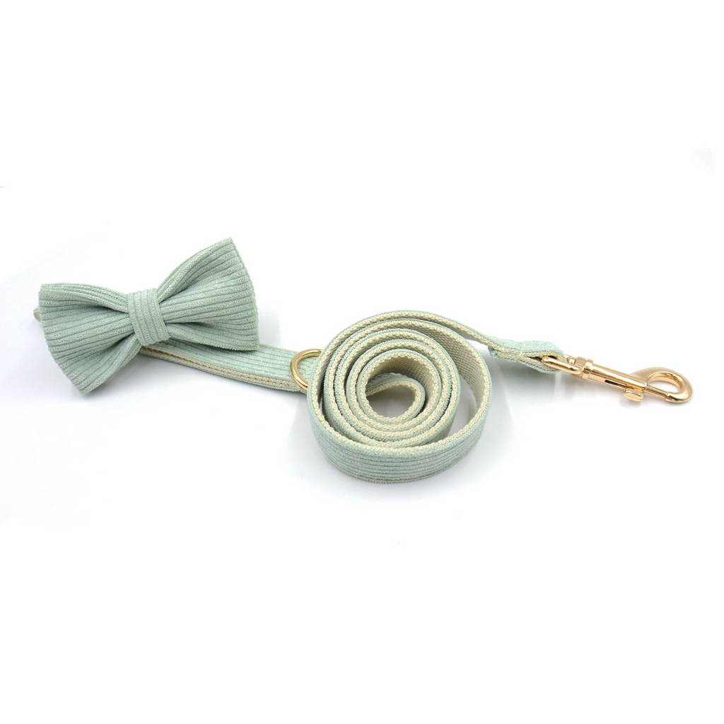 Corduroy Dog Harness Set – Leash & Bowtie_CWMM7085