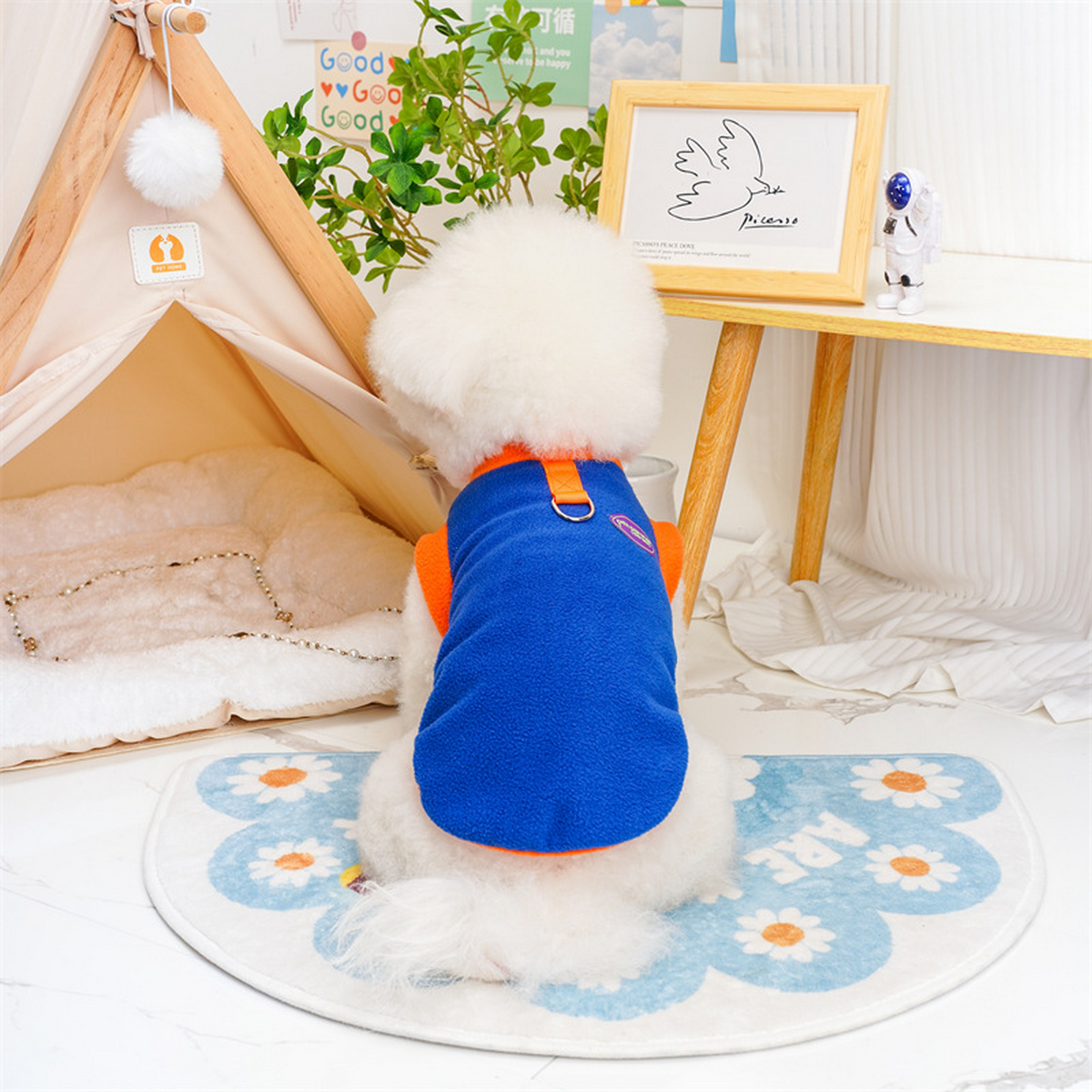 ColorBlock Pet Vest – Stylish Dog & Cat Wear_CWMM7335