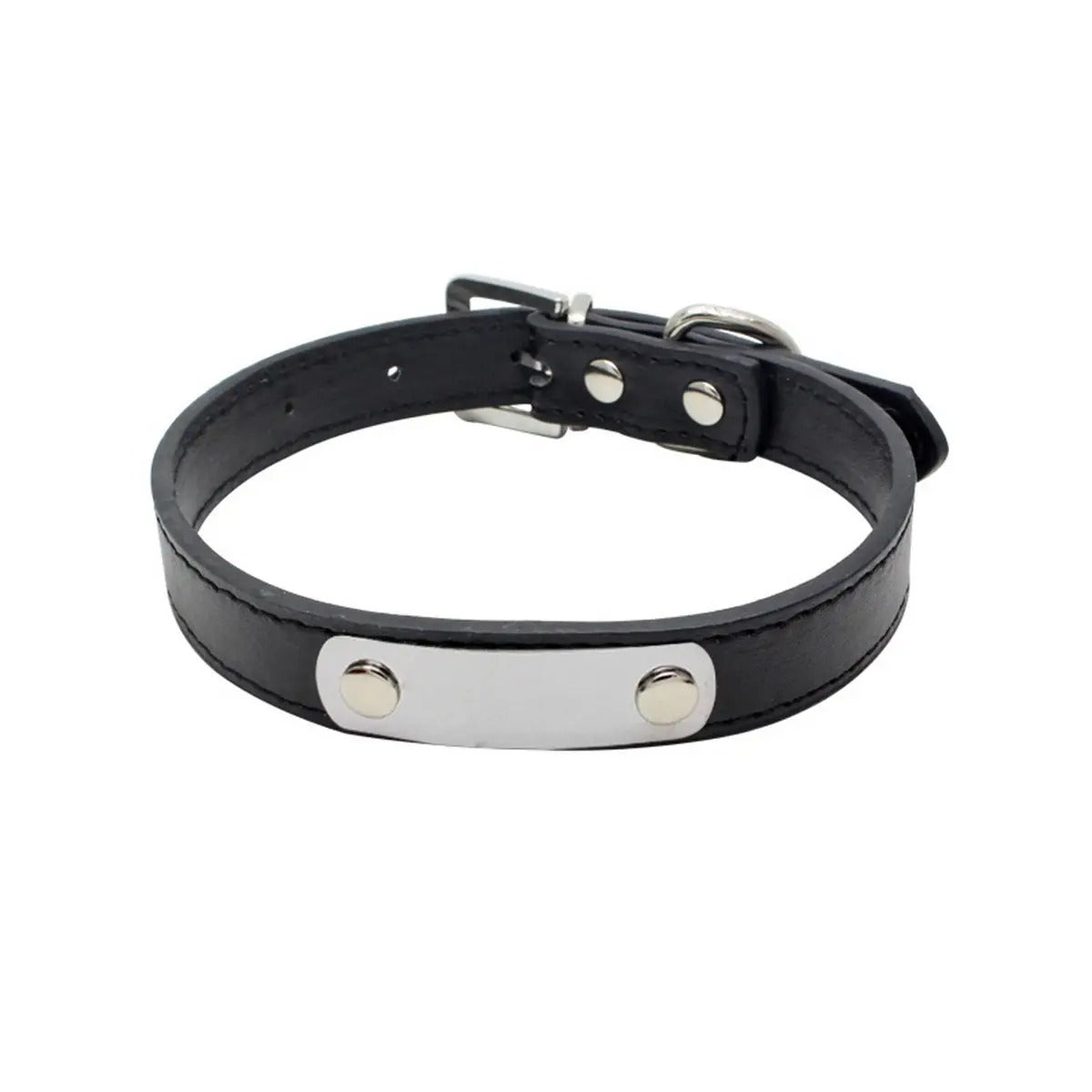 Laser Engraved PU Pet Collar for Dogs Cats_CWMM5983