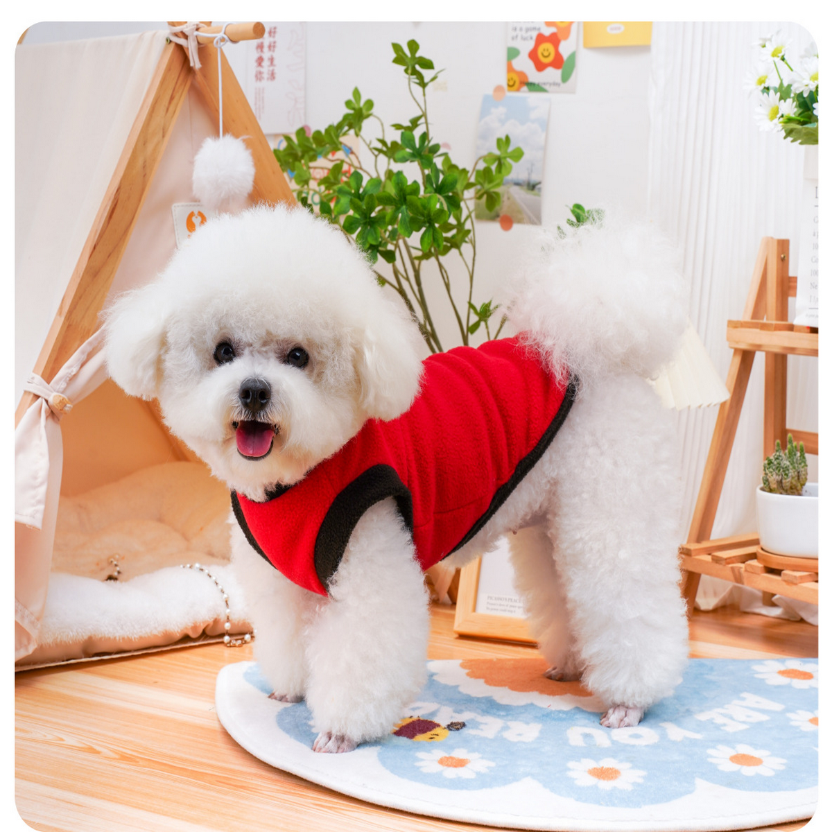 ColorBlock Pet Vest – Stylish Dog & Cat Wear_CWMM7335