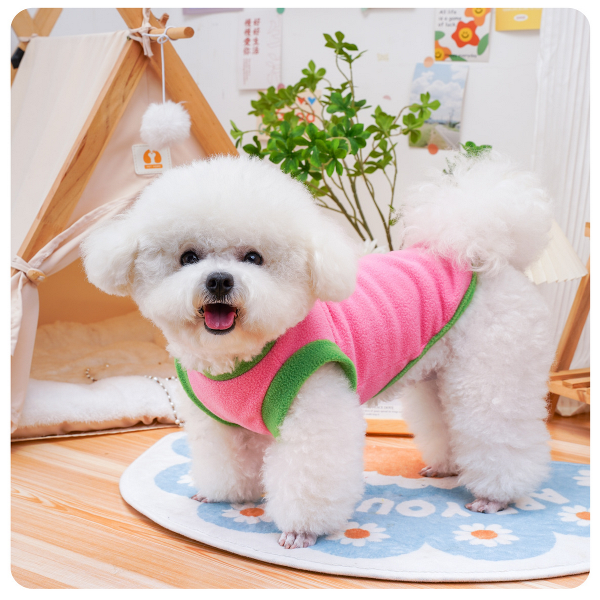 ColorBlock Pet Vest – Stylish Dog & Cat Wear_CWMM7335