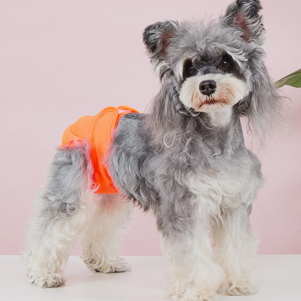 Dog Sanitary Pants – Solid Color, Anti-Mating_CWMM7307