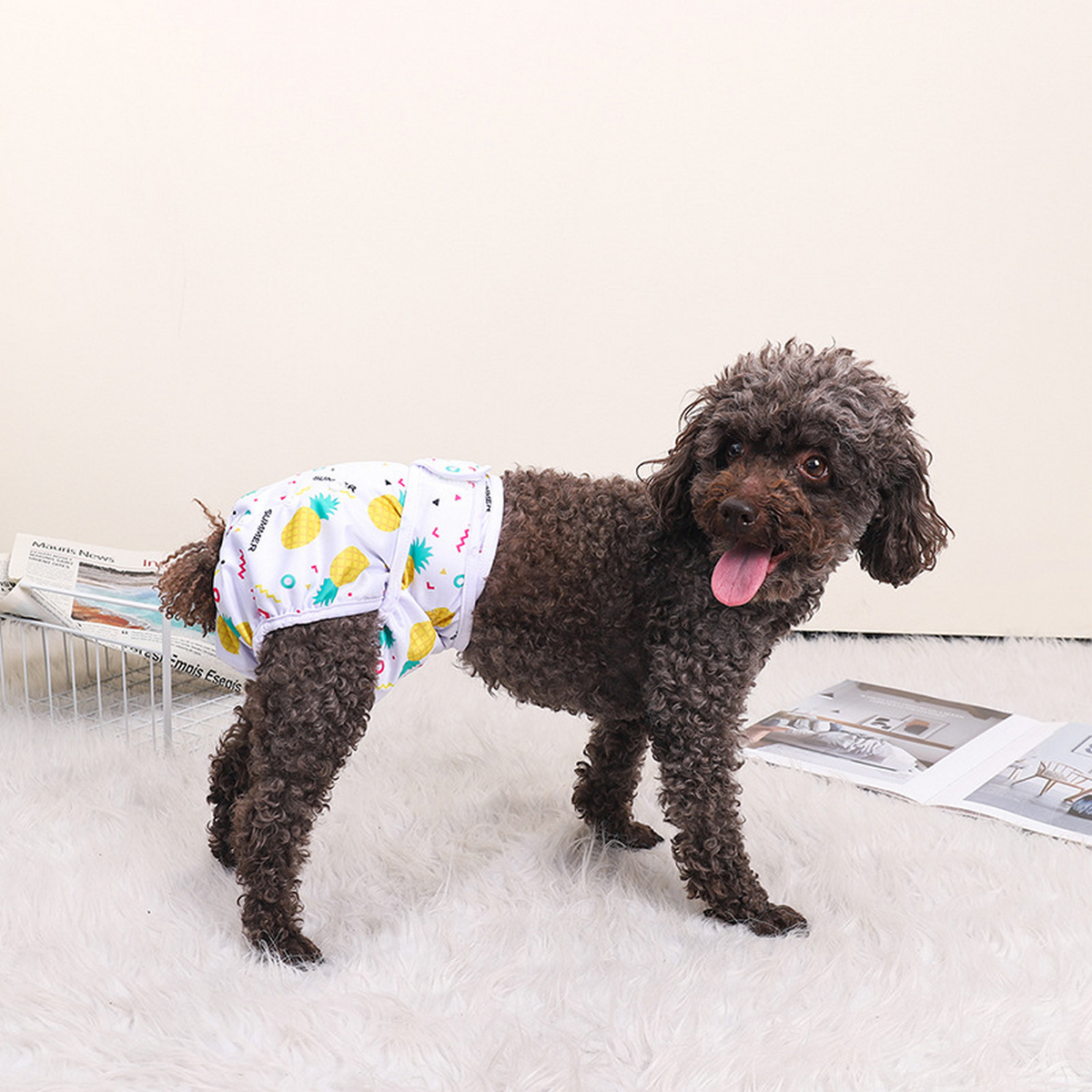 Dog Sanitary Pants – Indoor & Outdoor Diaper _CWMM7296