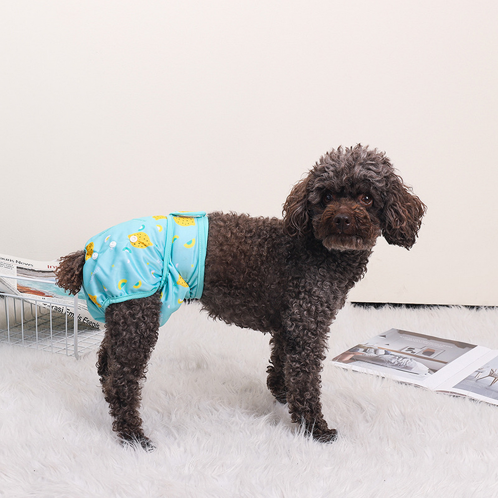 Dog Sanitary Pants – Indoor & Outdoor Diaper _CWMM7296