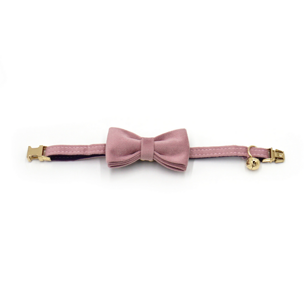 Cute Velvet Cat Collar – Bell & Laser Engraving_CWMM7099