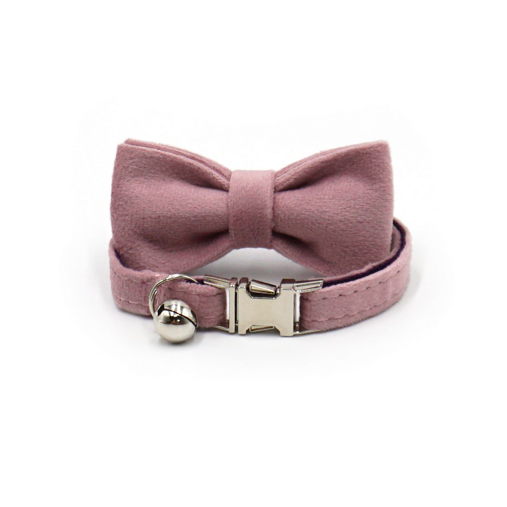 Cute Velvet Cat Collar – Bell & Laser Engraving_CWMM7099