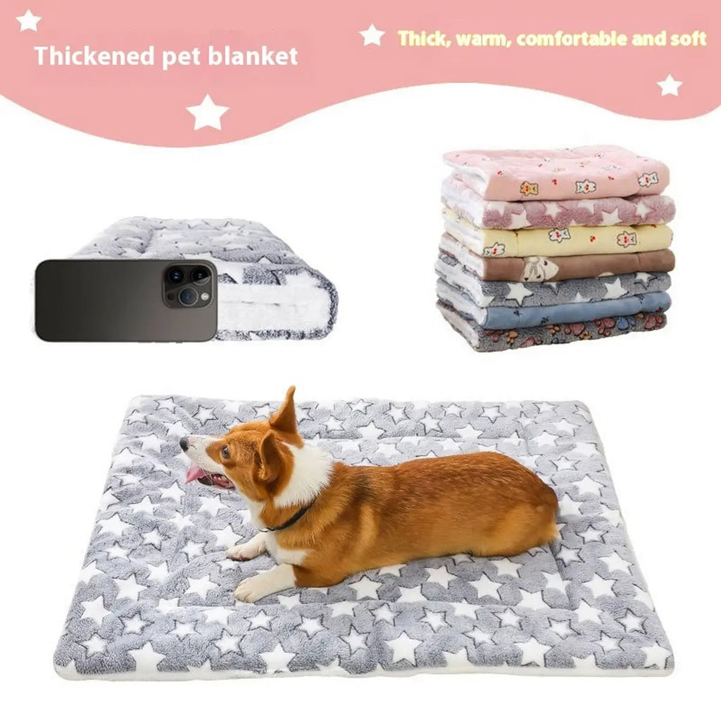 Double-Layer Plush Pet Blanket – Warm & Thick_CWMM5321