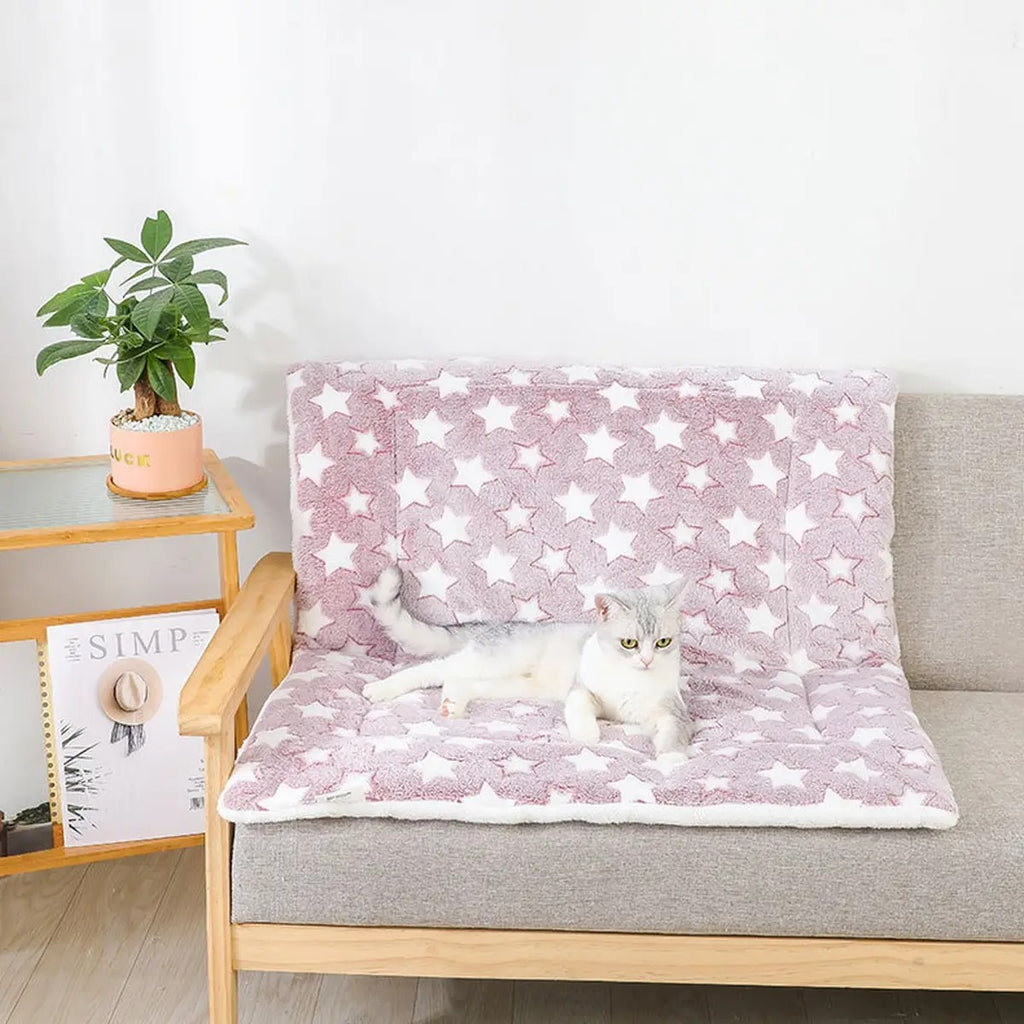Double-Layer Plush Pet Blanket – Warm & Thick_CWMM5321